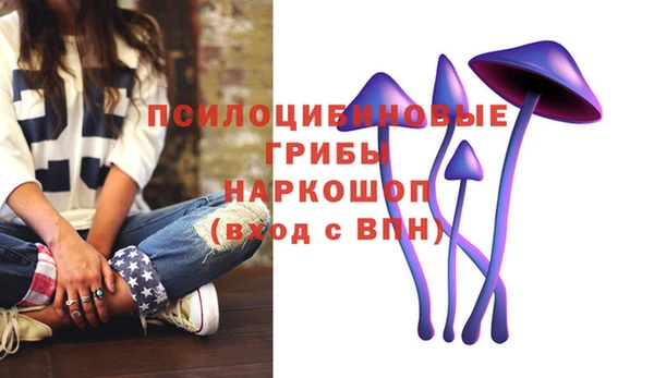 гидропоника Абдулино