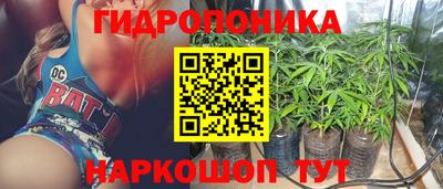 эйфоретик Тара