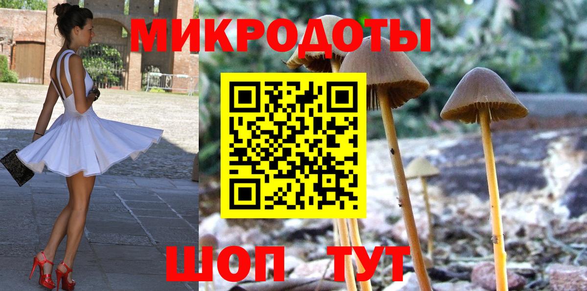 купить наркоту  Галлюциногенные грибы MAGIC MUSHROOMS  Вход с VPN  Сочи  Галлюциногенные грибы Cubensis 