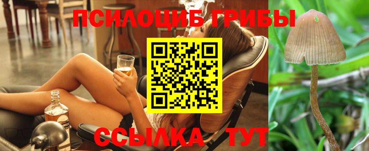 Псилоцибиновые грибы прущие грибы Сочи